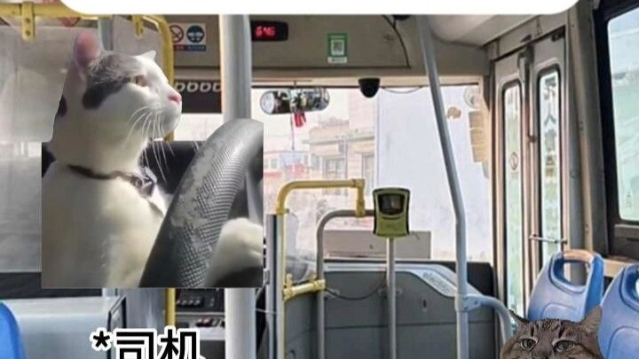 奇葩公交司机针对我