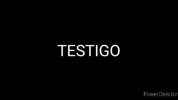 Testigo 2000