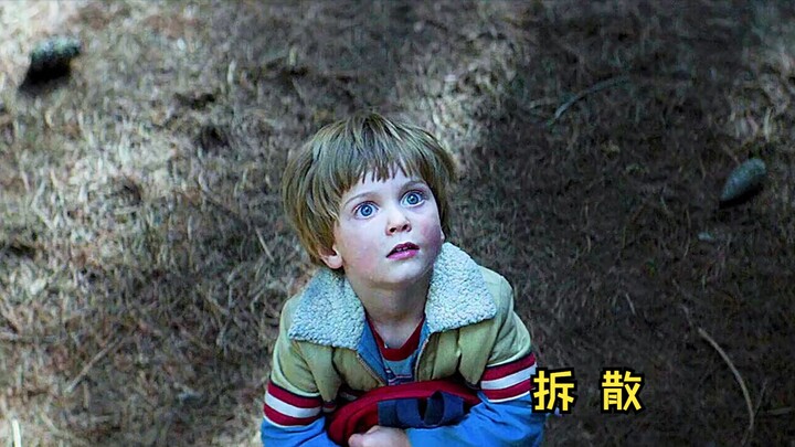 Cậu bé 6 tuổi sống nương tựa với “rồng” trong rừng! Nhưng rồi bị con người chia cắt một cách tàn nhẫ