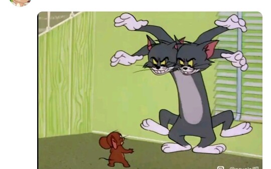 Bisakah Anda memainkan Kucing dan Tikus tanpa memotong? (5)