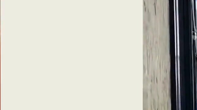 Bing Dwen Dwen and Xue Rongrong: The inevitable trivia after becoming a top star