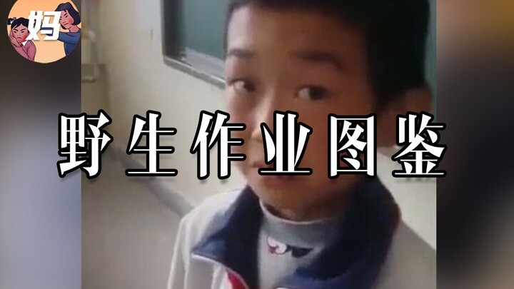 【คู่มือมนุษย์ป่า】ดินสอหนึ่งแท่ง คนหนึ่งคน ค่ำคืนหนึ่งคืน ปาฏิหาริย์หนึ่งครั้ง