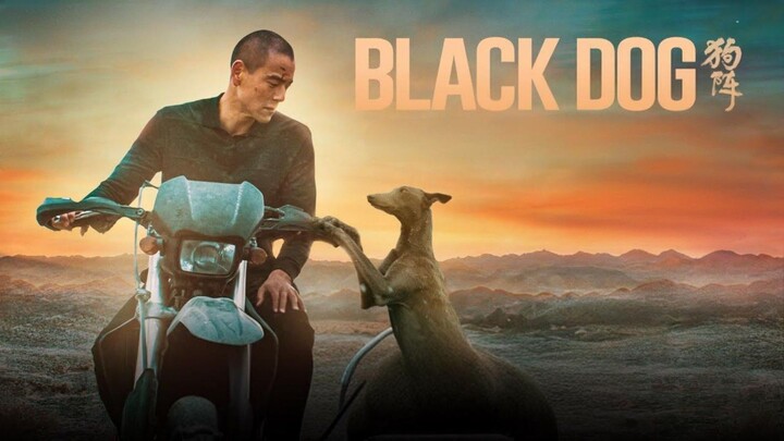 🎬 BLACK DOG (2024)‼️