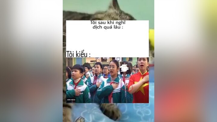 memes#meme superidol memehaihuoc memehai memebuoncuoi