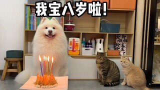 My baby is eight years old!