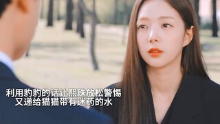 朴行政官给猫猫水里下药，联合真白司彦绑架熙珠，天呐，豹豹完完全全被背叛，明明他弟弟是真白司彦杀的啊