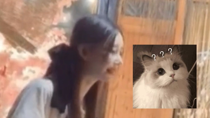 Two-Yuan Social Graces