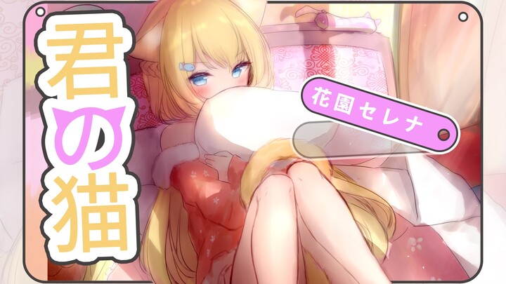 【Garden Serena】เพลงคัฟเวอร์ภาษาญี่ปุ่นโดยแมวของคุณ