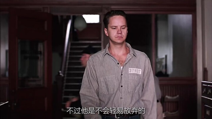 [Watch the full version in the comments] The light of freedom illuminates the path of hope #TheShaws