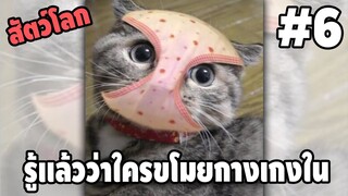 Ep.6 สัตว์โลกกวนตีน SS2 - [ พากย์นรก ] | easy boy