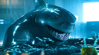 Bạn có dám tin rằng Shark King này lại mang dòng máu của Lão Thần không, quá ngốc và dễ thương!