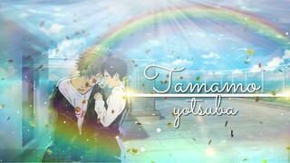 amv tamako love story