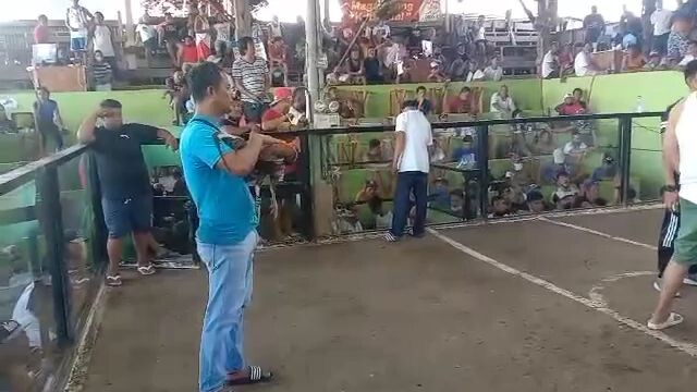 2nd fight bay laguna champion 2 hits dome 2x winner