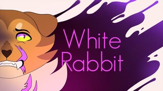 WHITE RABBIT || Crookedstar PMV