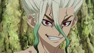 Dr. Stone (AMV) - Cradles