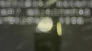 【Fuhua】Who understands the value of this paragraph?