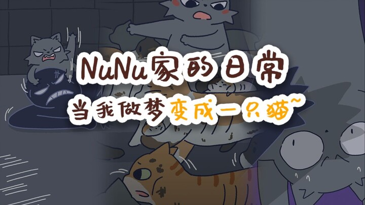 NuNu家的日常 当我做梦变成一只猫~