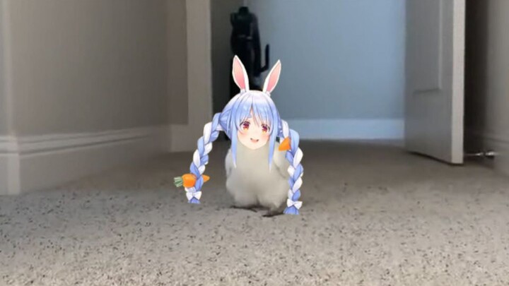 Pecola after getting lost with miko-senpai