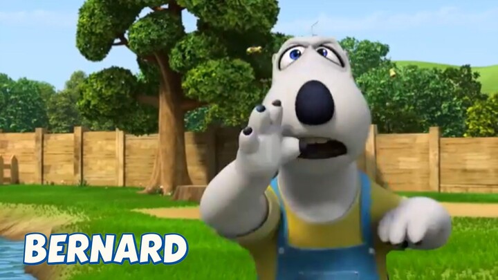 BERNARD BEAR || HORRIBLE BEES - CARTOON CHILDREN