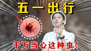 Be careful of this kind of insect when you go out to play on May Day!