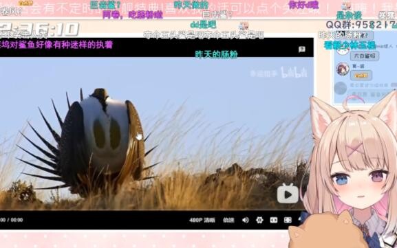 【犬卷日鞠】看可爱动物视频，表示那都是标准姿势