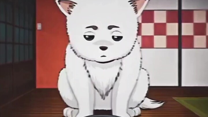 "Kiểm kê loạt phim không phải nhân sự ở Gintama"