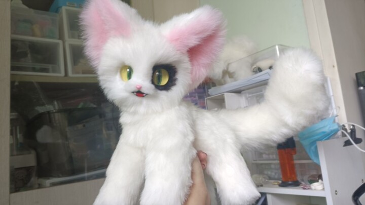 Cat Magically Comes Back to Life