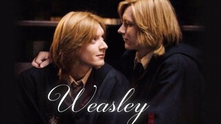 【HP | Weasley Twins | Căng thẳng tình dục】 Khóa nhanh quần