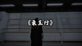 霸气磅礴的中国舞《象王行》完整版
