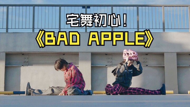 【改编翻跳】Bad Apple!! 【旮×食梦棉】