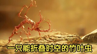 Một loài côn trùng tre có thể gấp thời gian và không gian, hành tinh bị mắc kẹt trong một vòng lặp v
