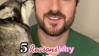 Ever wonder why your dog licks you? 😋learnontiktok