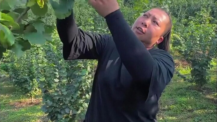 Cyber Characters Issue 18: Northeast Rain Sister