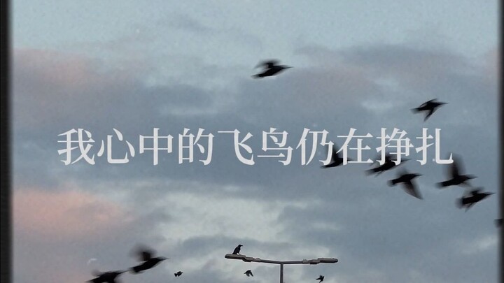 [Original Chinese | J-Rock] “Caged Bird, When Will You Fly?”