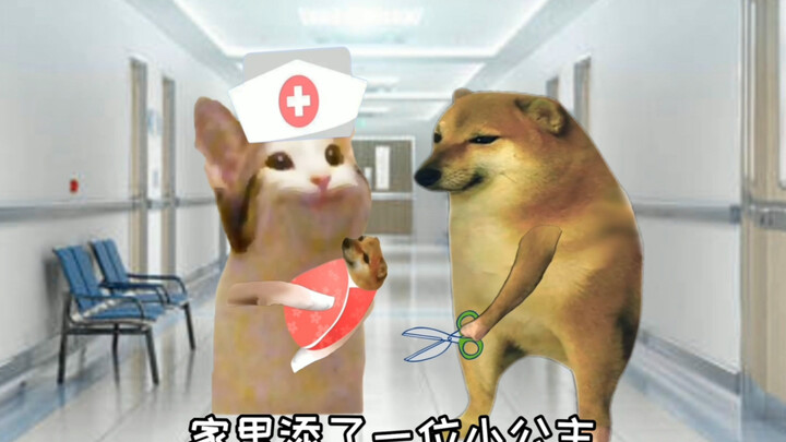 In just a few minutes, my son turned into a little princess!