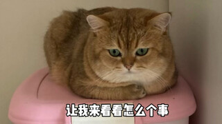 I heard I've recently been turned into an emoji?