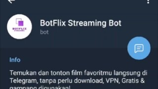 Botflix Streaming