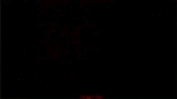 JUDY ANN SANTOS & WOWIE DE GUZMAN | KASAL-KASALAN, SAKALAN (1998) FULL MOVIE