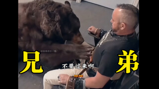 西格玛男人-下辈子还做兄弟