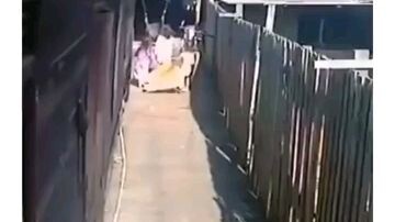 ketika Titan mulai menyerang 🤣