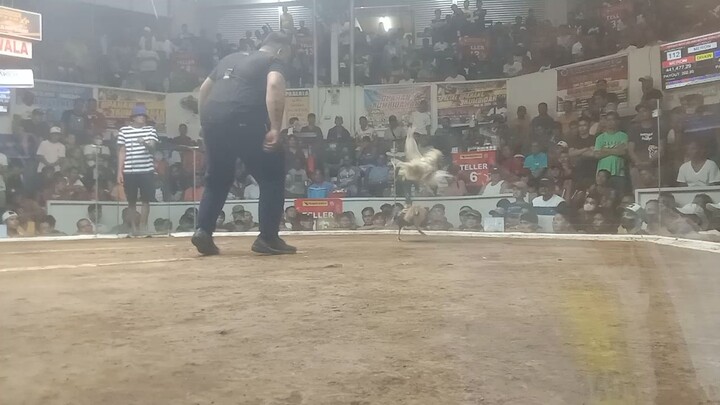 2hits ulutan w 1st fight white