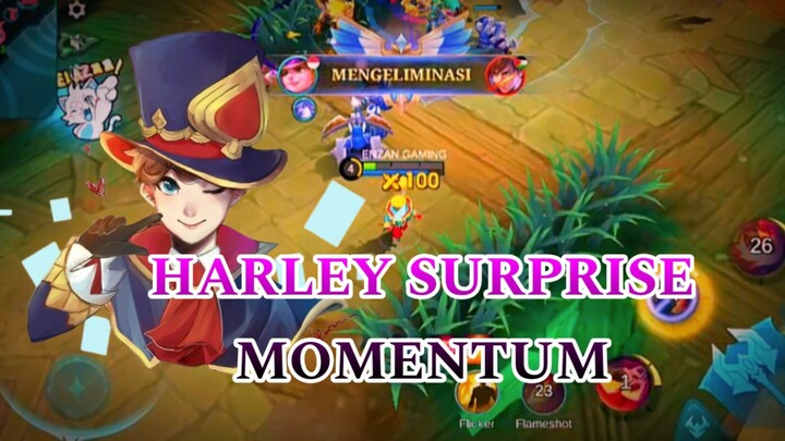 HARLEY SURPRISE MOMENTUM