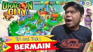 Tips dan Trik Bermain Dragon City - TOP UP Satu Juta Buat Ngalahin Windah Basudara