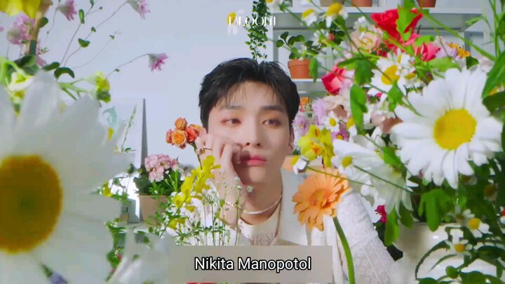 Nikita Manopotol Bloom