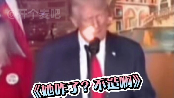 《求特朗普尖酸刻薄教程》