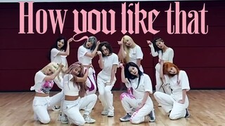 【墨兔同步】兔瓦斯9人版练习室how you like that twice&blackpink梦幻联动