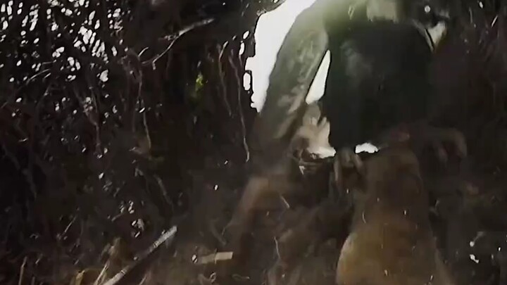 A boy arrives on Earth a thousand years in the future, but danger lurks at every turn.