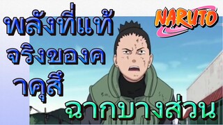 [นารูโตะ] ฉากบางส่วน |  พลังที่แท้จริงของคาคุสึ