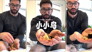 他的小鸟好可爱好萌啊😘