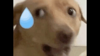 这种程度的事情，结尾竟然没有单词